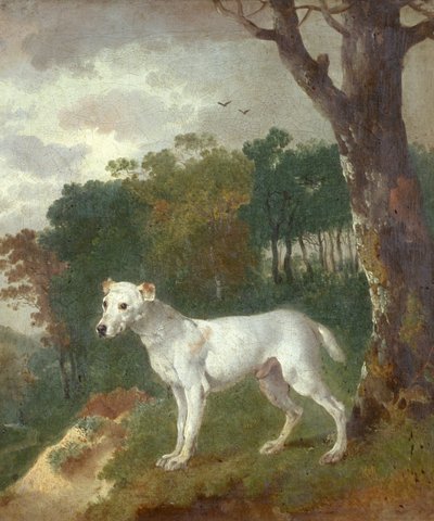 Bumper, ein Bullterrier, 1745 von Thomas Gainsborough